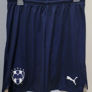 Puma Dark Blue Sports Shorts